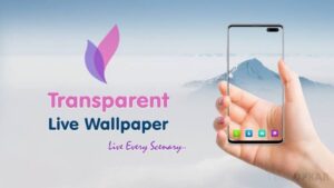 How to Set Transparent Live Wallpaper on Android (Step-by-Step Guide)